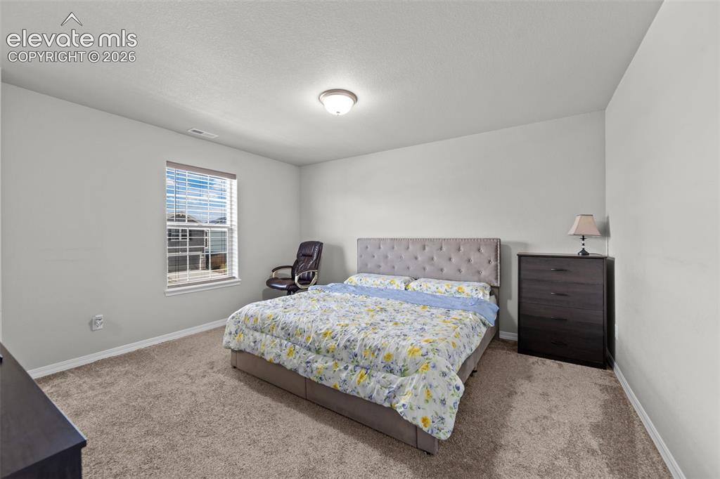 Image 21 of 41: Wall-to-wall carpeting and neutral wall paint