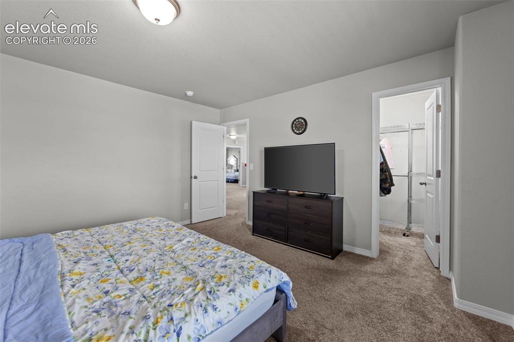 Image 22 of 41: Neutral wall paint, carpet flooring, ceiling-mounted light fixture, white i