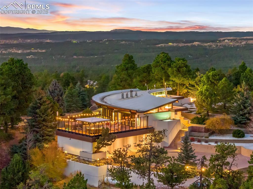 Caption: Aerial view of a forest