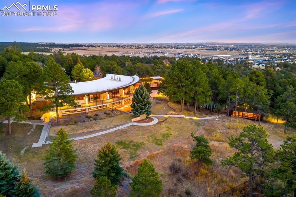 Image 35 of 39: Bird