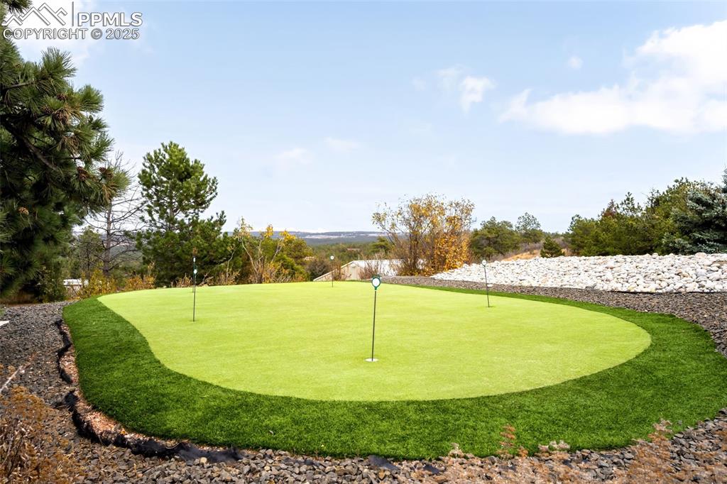 Image 38 of 39: Surrounding community featuring an area to practice putting