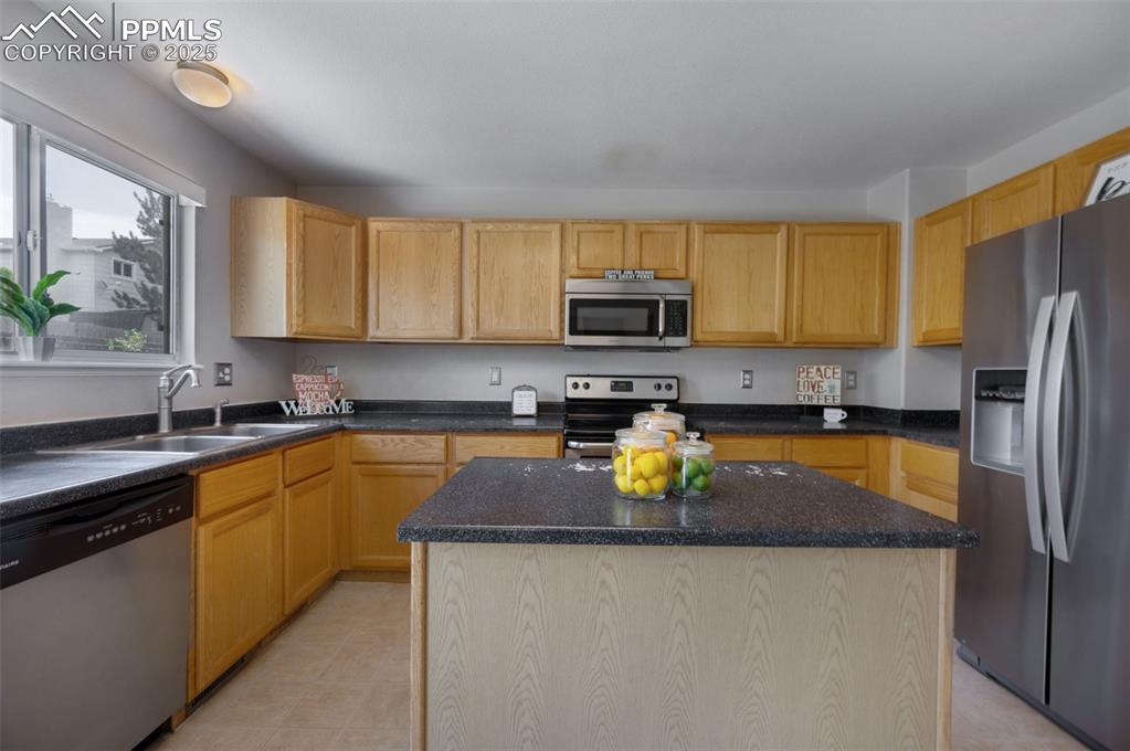 Image 10 of 37: Stainless steel appliances and sink