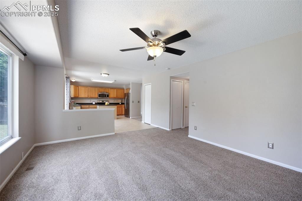 Image 13 of 37: Fireplace, new carpet, and new trim paint