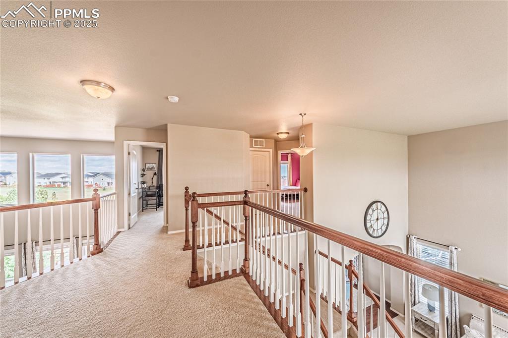 Image 22 of 49: Other