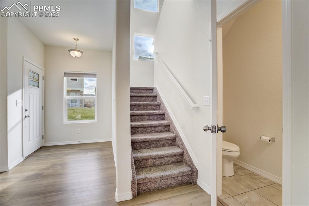 Image 14 of 49: Other