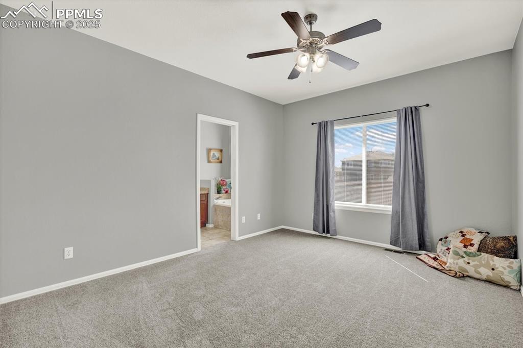 Image 16 of 40: Other