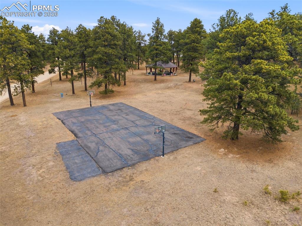 Image 32 of 33: Community