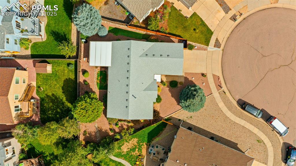 Image 32 of 33: Bird