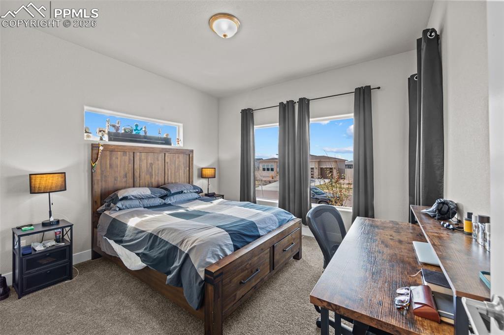 Image 7 of 49: Carpeted room featuring multiple windows, including a high transom window,