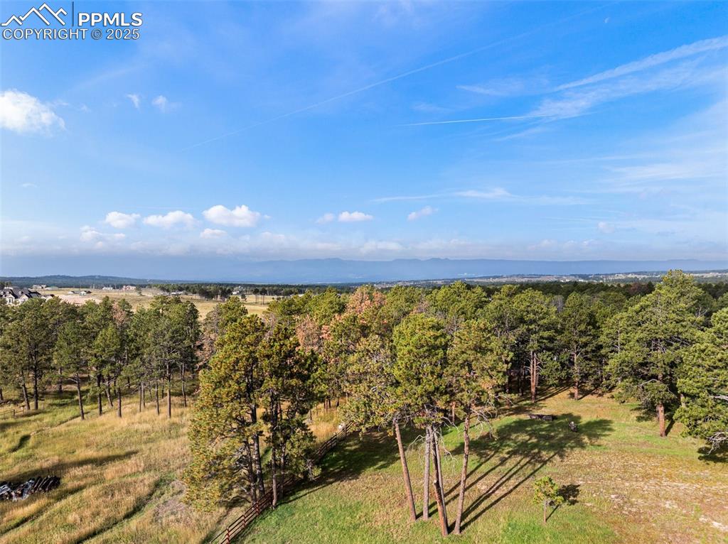 Image 3 of 9: Aerial view of a forest