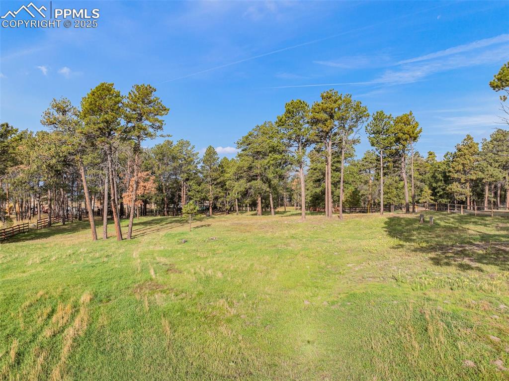 Image 7 of 9: View of green lawn