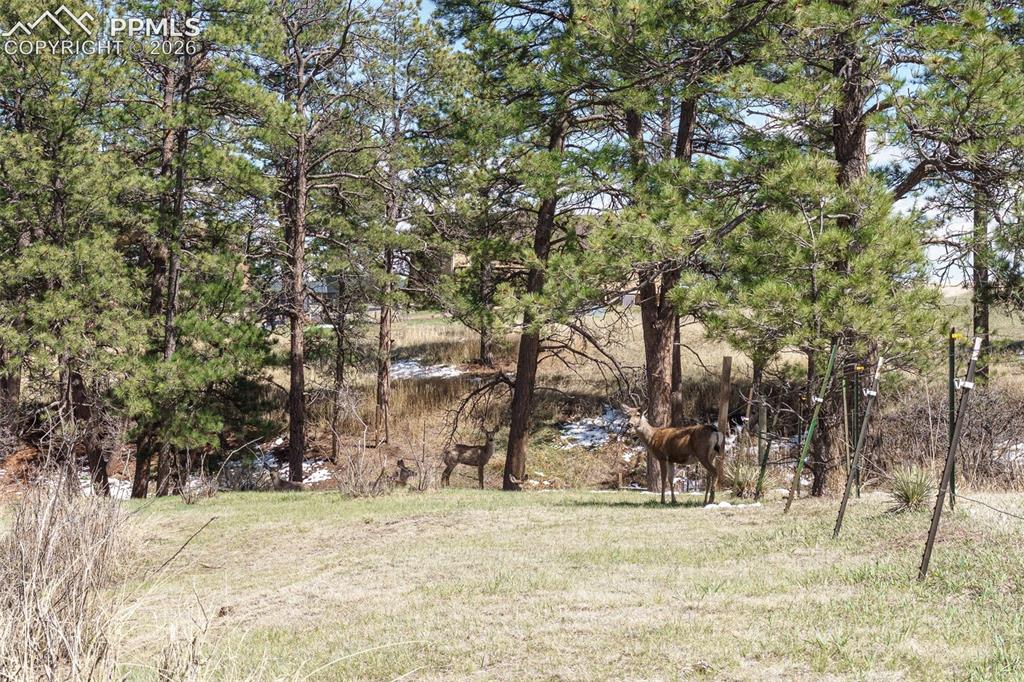 Image 46 of 47: Other