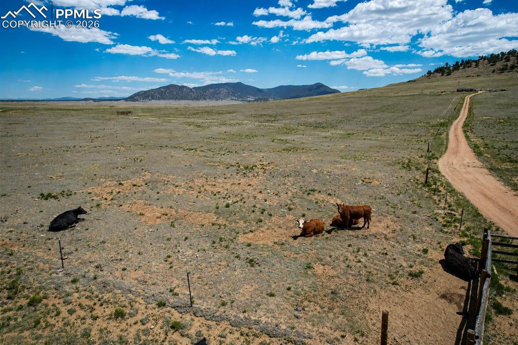Image 30 of 32: Perfect for your own ranch! No restrictions on livestock!