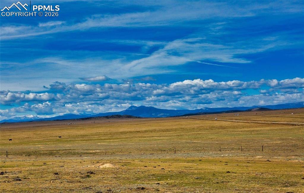 Image 8 of 32: View