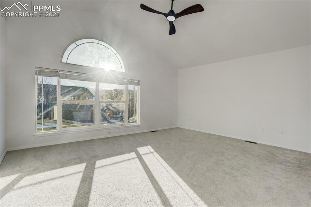 Image 24 of 50: Other