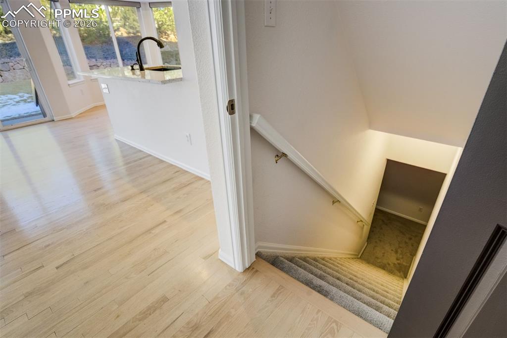 Image 42 of 50: Other