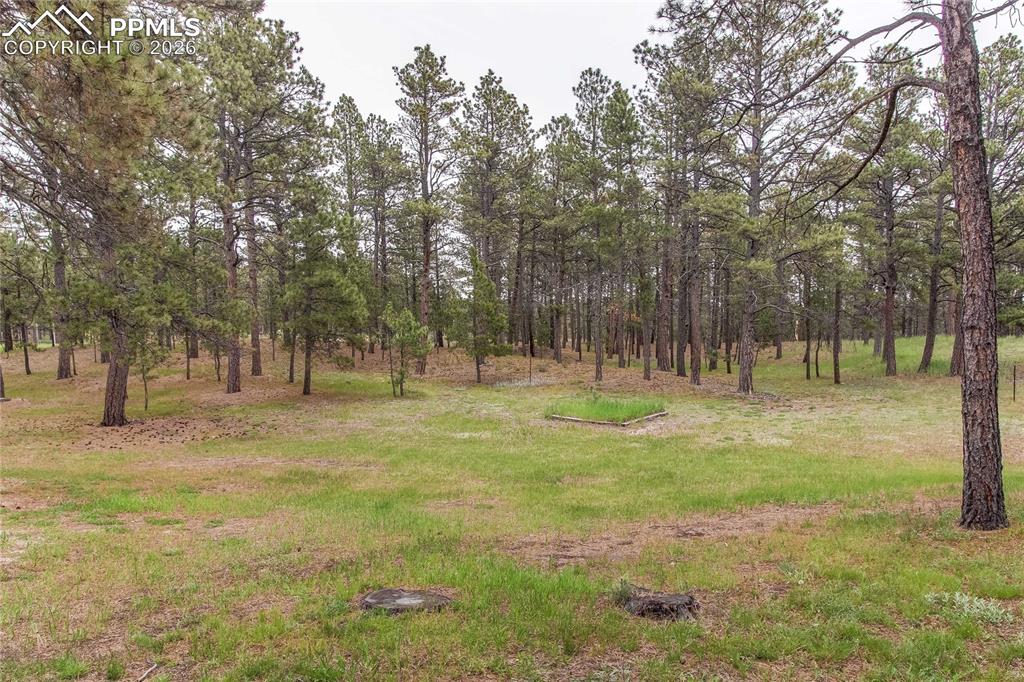 Image 30 of 47: Yard