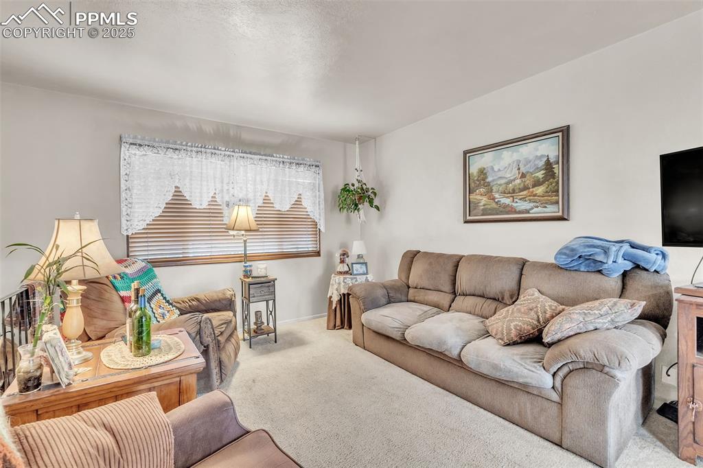 Image 31 of 49: Carpeted living area with baseboards