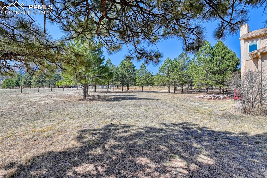 Image 44 of 47: Can you see the mountain peaking thru the trees? 