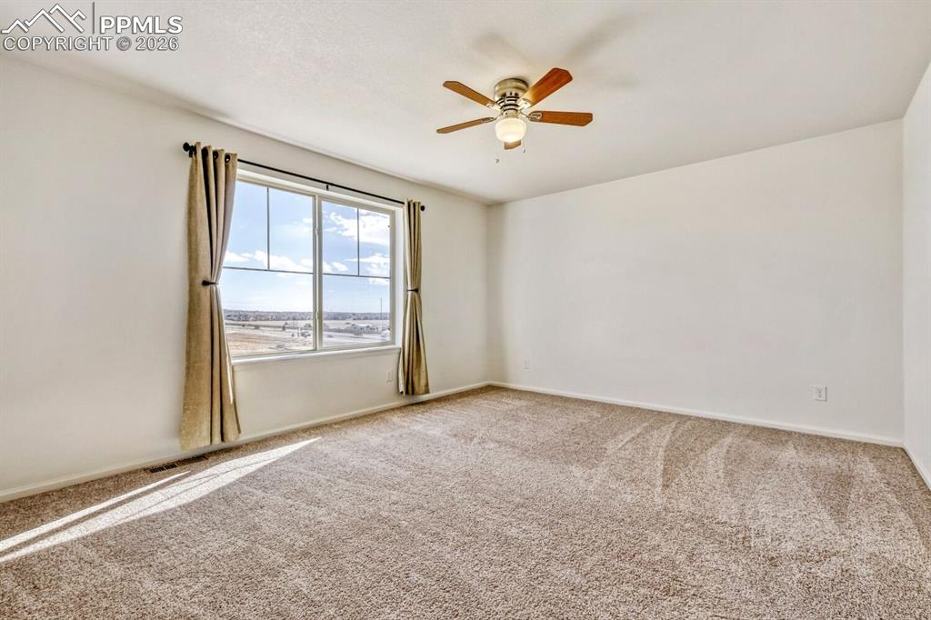 Image 13 of 35: Other