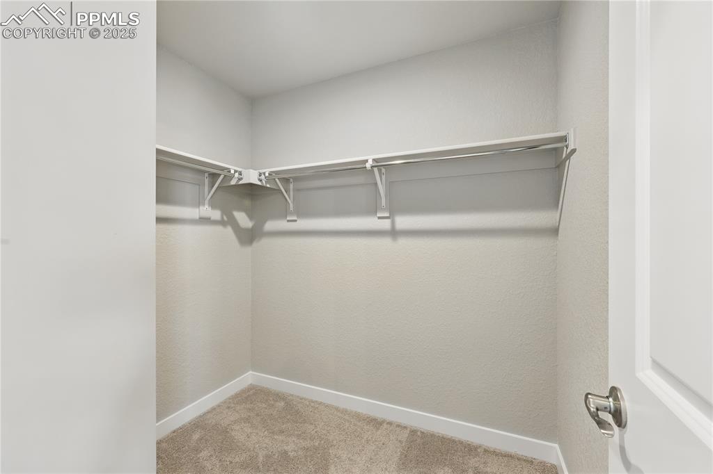 Image 22 of 36: Walk in closet featuring carpet floors