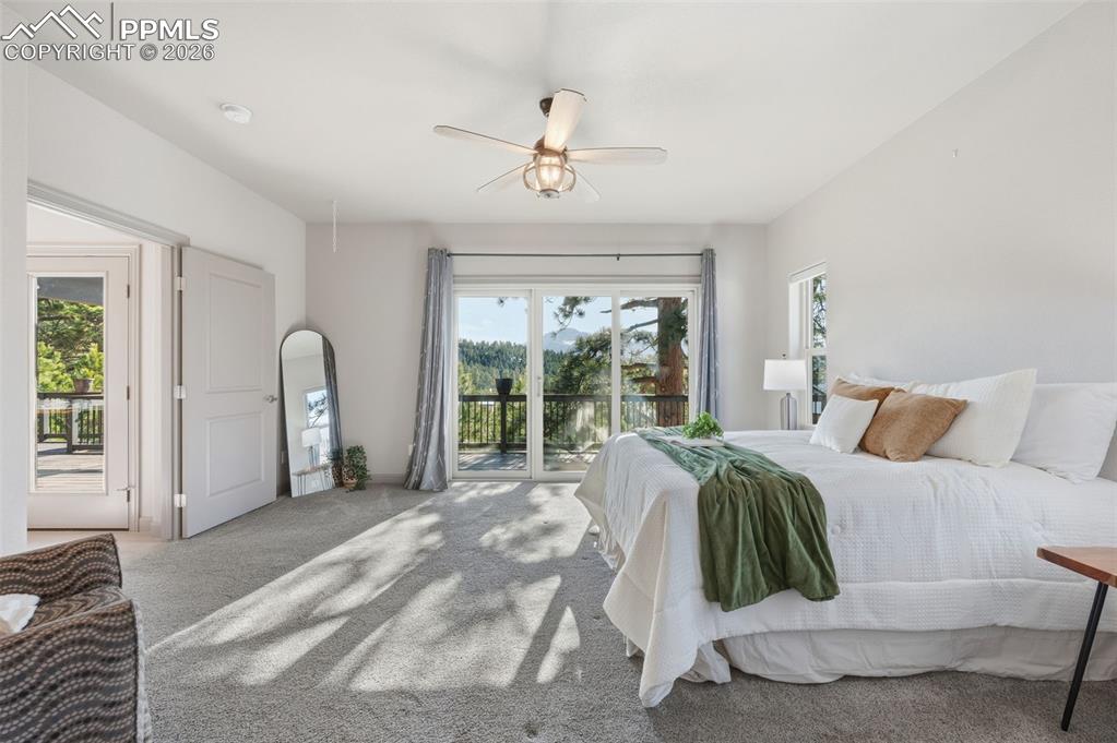 Image 14 of 30: No Description Available