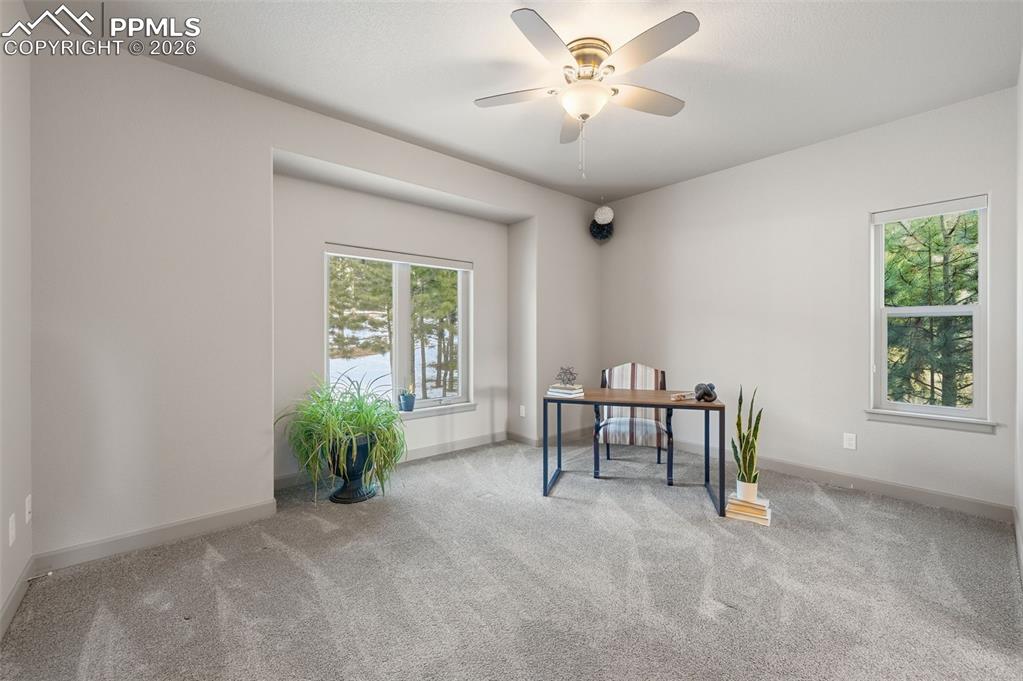 Image 21 of 30: No Description Available