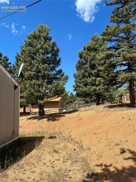 Image 18 of 25: Tall Pine Trees Surround the Home