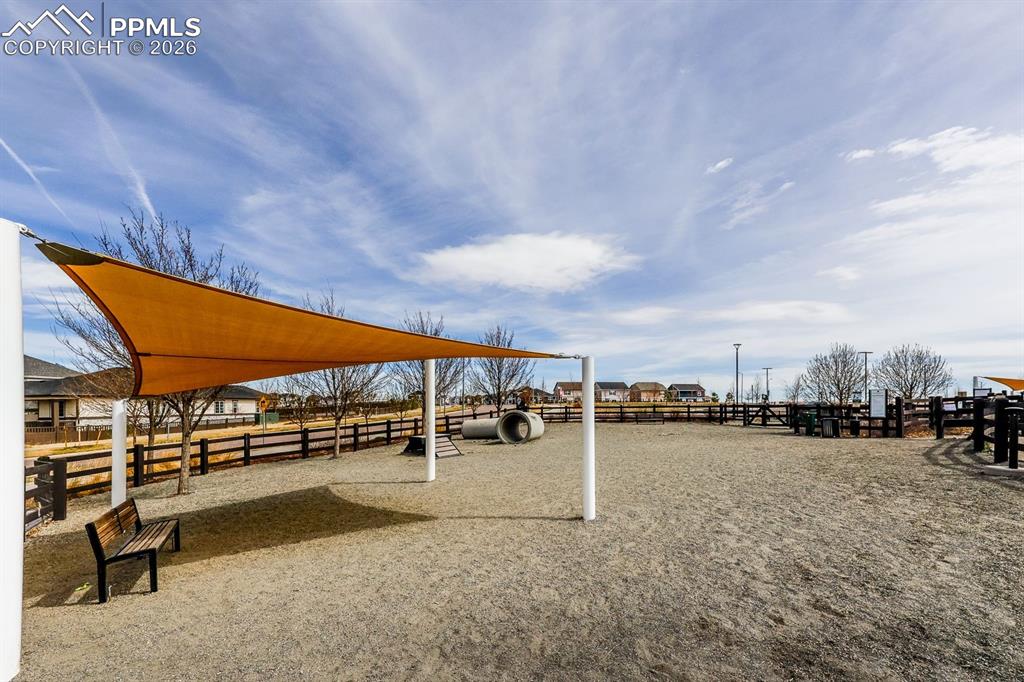 Image 27 of 32: Amazing Dog Park!