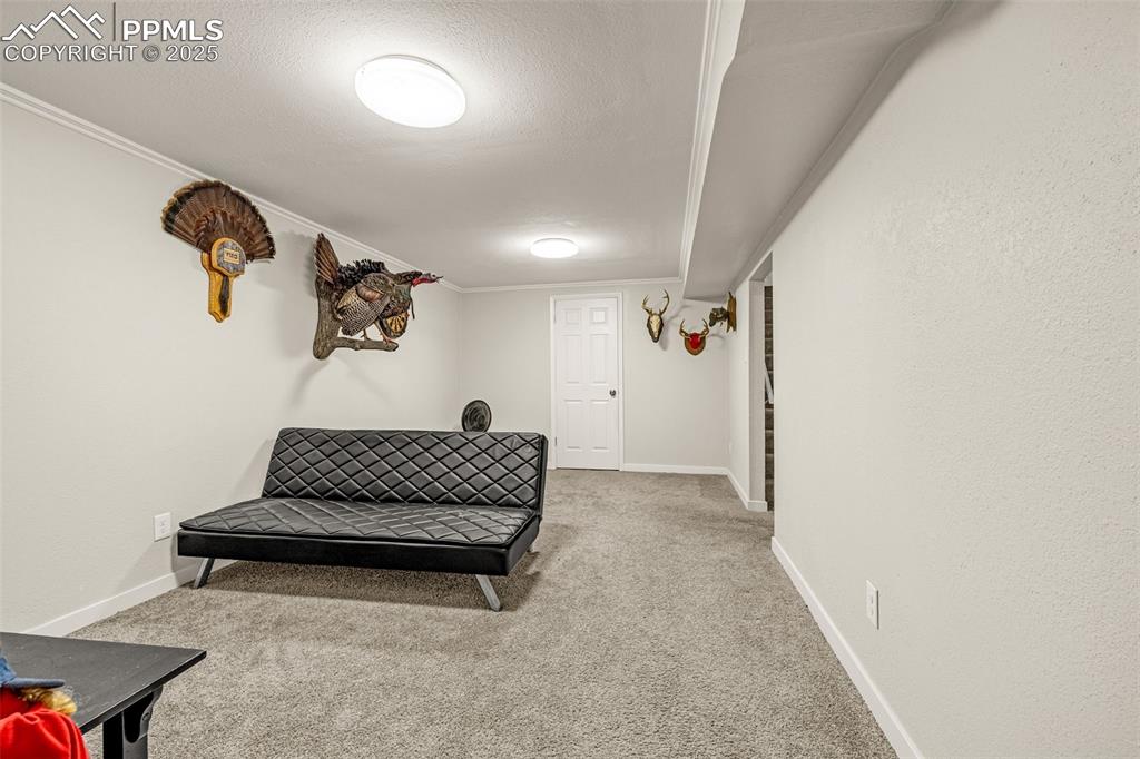 Image 16 of 37: Corridor featuring light carpet, a textured ceiling, and crown molding