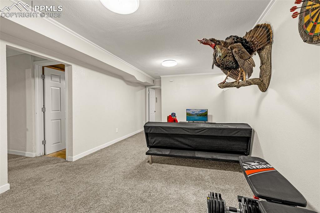 Image 17 of 37: Bedroom with light colored carpet, a textured ceiling, and crown molding