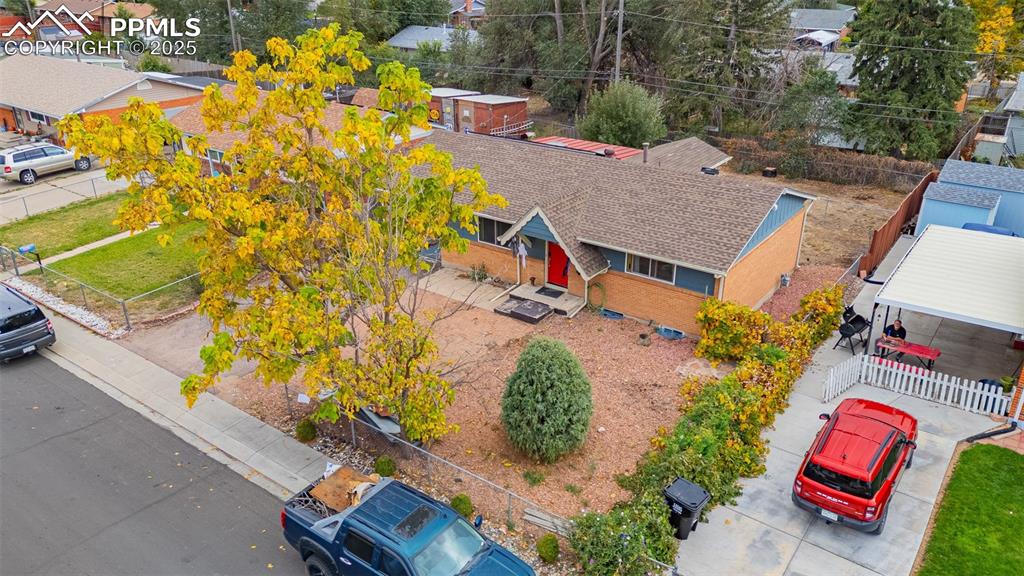 Image 30 of 37: Bird