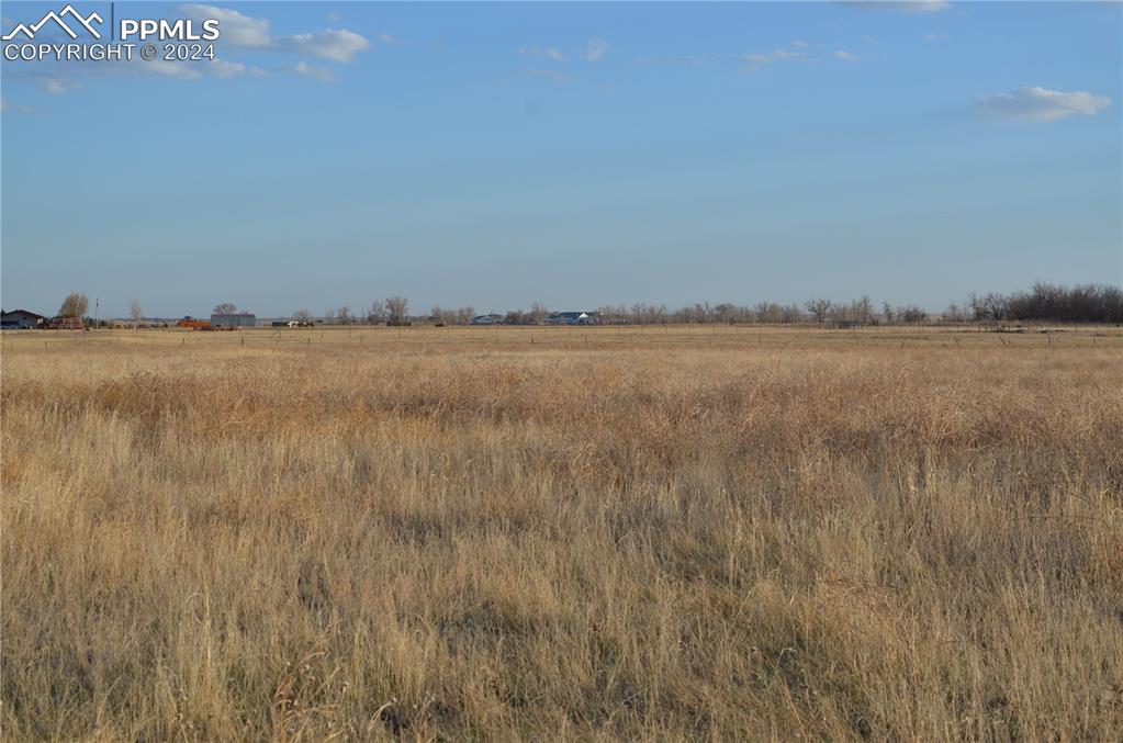Image 16 of 17: View of local wilderness featuring a rural view