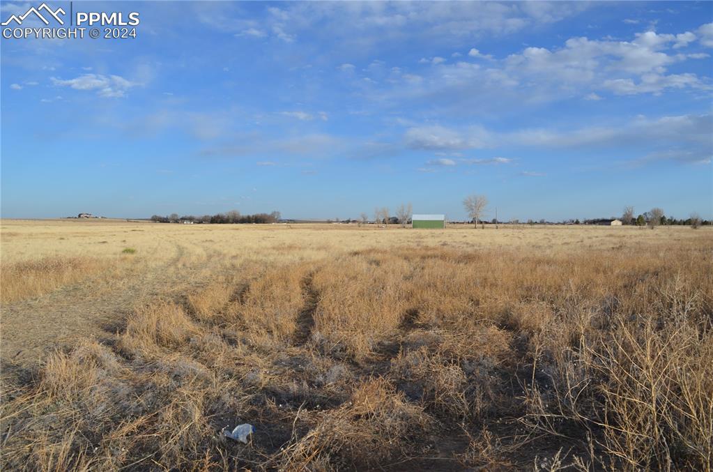 Image 3 of 17: View of local wilderness with a rural view