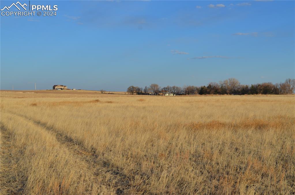 Image 8 of 17: View of local wilderness with a rural view