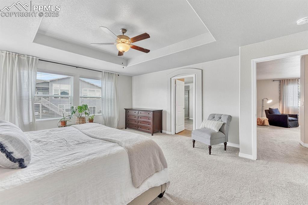 Image 11 of 44: Bedroom with multiple windows, a raised ceiling, and light carpet