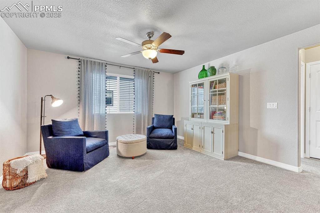 Image 30 of 44: Living area with a textured ceiling, a ceiling fan, baseboards, and carpet 