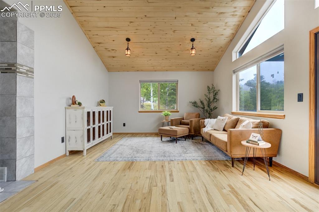 Image 6 of 40: Other