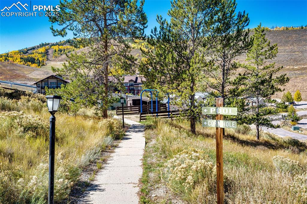 Image 36 of 42: Other