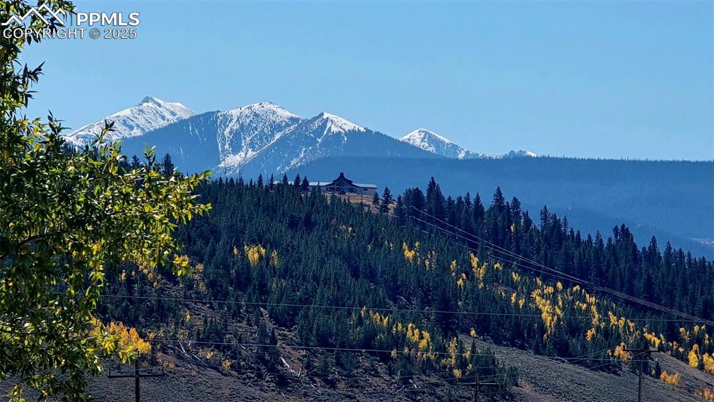 Image 39 of 42: View of mountain background featuring a heavily wooded area