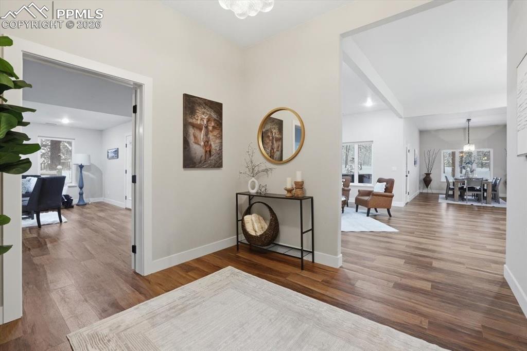 Image 4 of 50: Other