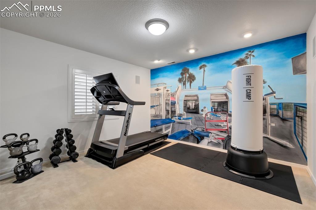 Image 35 of 50: Mural on wall in the gym 