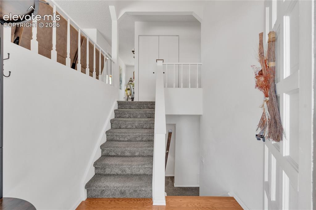Image 19 of 30: Bi-Level front entry- new paint and carpet throughout