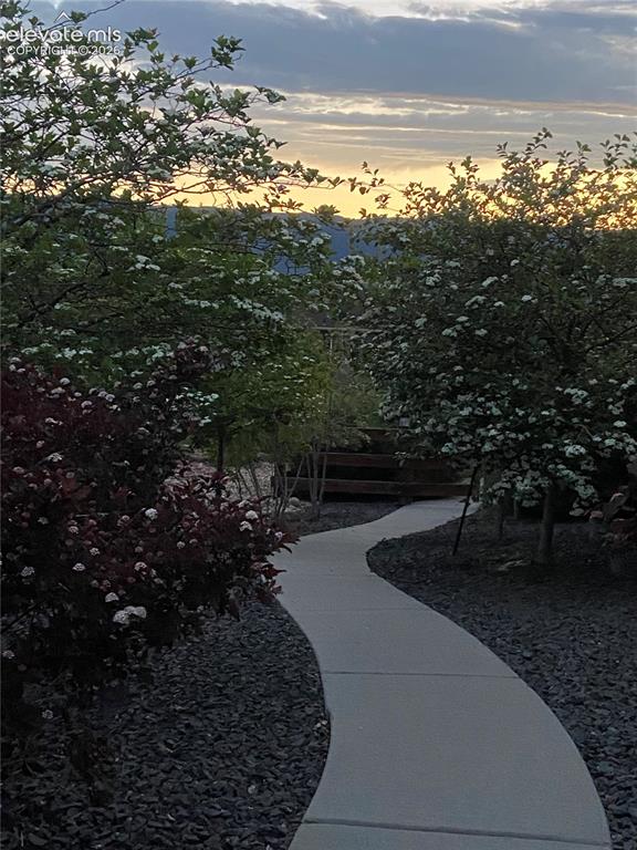Image 45 of 49: Winding concrete pathway bordered by dark decorative stone
