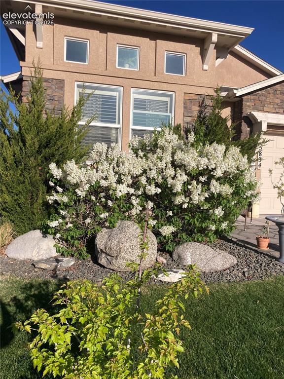 Image 48 of 49: Exterior facade featuring stucco siding with stone accents, multiple window