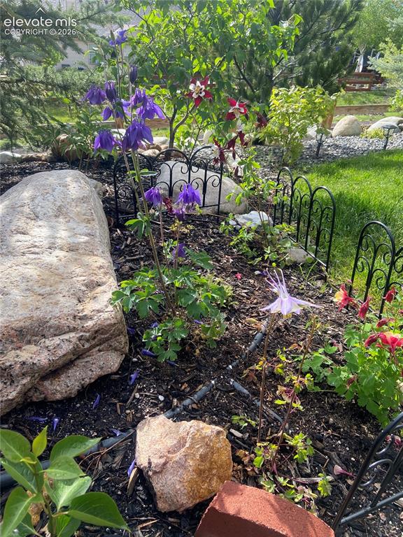 Image 49 of 49: Lush garden bed showcasing vibrant purple and red flowering plants