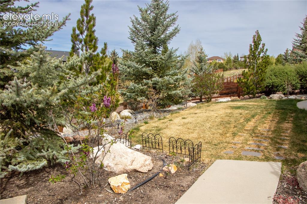Image 5 of 49: Yard