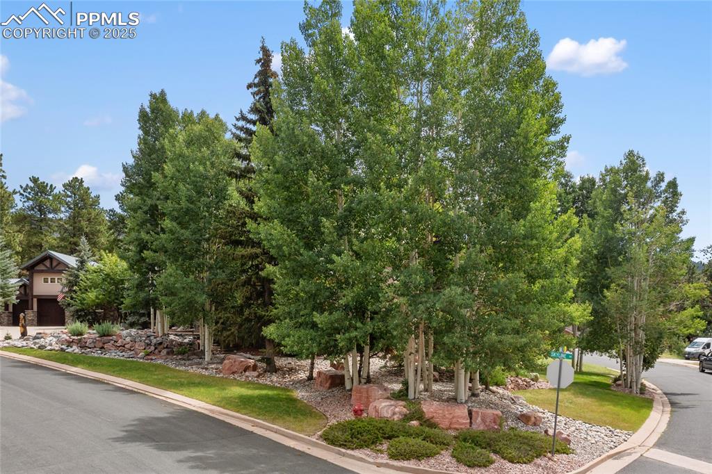 Image 8 of 46: Take a look at the corner lot! Big, spacious and total privacy behind the