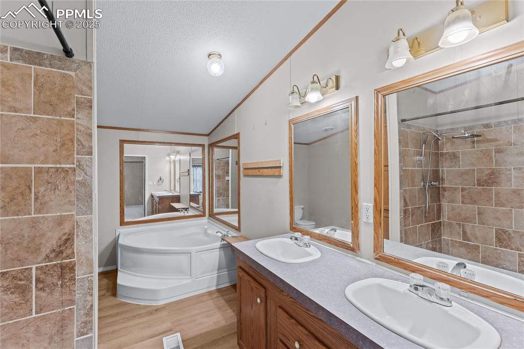 Image 20 of 32: Full bathroom with a garden tub, double vanity, ornamental molding, light w