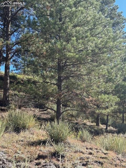 Image 12 of 15: View of undeveloped land